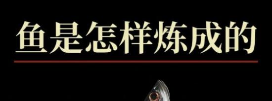 缄默祸运销量突破30万！作者免费前作追加中文