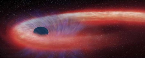潮汐破坏事件及其可以揭示遥远星系中黑洞和恒星的信息