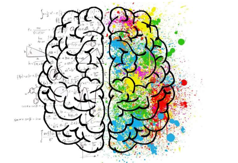 研究：创伤性脑损伤导致神经连接广泛变化