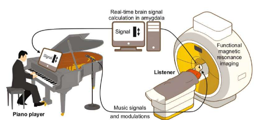 研究人员表示现场音乐比流媒体音乐更能打动我们的情感